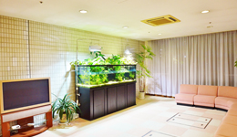 新潟県新潟市　水槽3