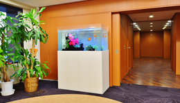 新潟県新潟市　水槽6